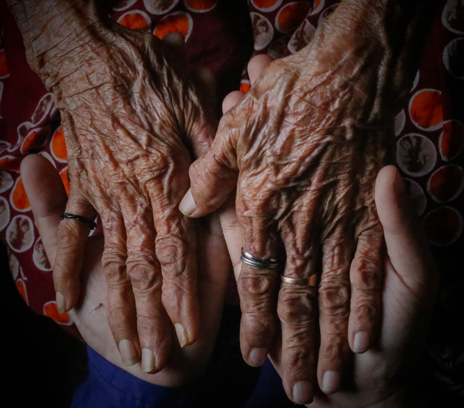 Two very old, wrinkled hands wearing rings, resting in the open hands of a younger person